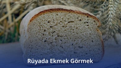 Rüyada Ekmek Görmek