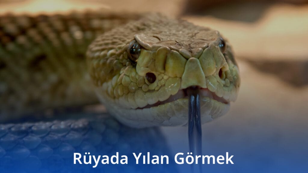 Rüyada Yılan Görmek 